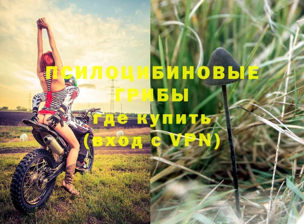 молекула духа Иннополис