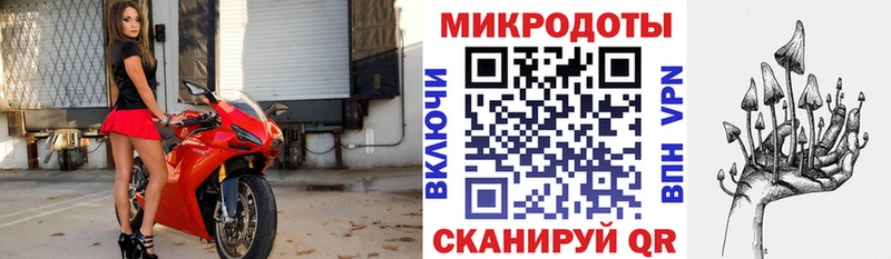 Псилоцибиновые грибы Psilocybe  Купить где  Козельск 